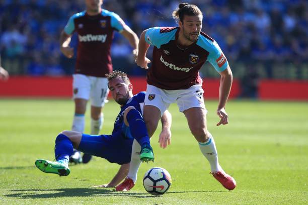 展示他们的 展示他们的